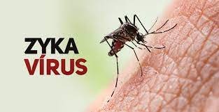 Potencial tratamento de câncer de próstata com zika vírus pode ter efeito contrário; entenda