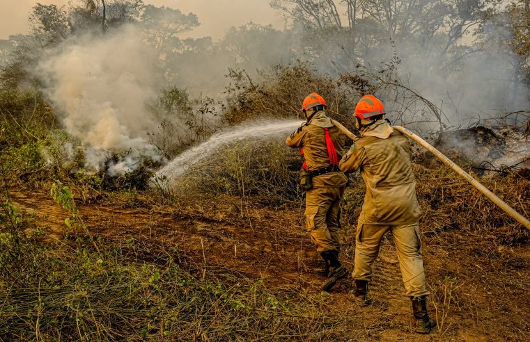 MT quadruplicou investimentos em ações de prevenção e combate a incêndios desde 2020